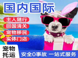 南昌昌北航空快递国际宠物托运 【国